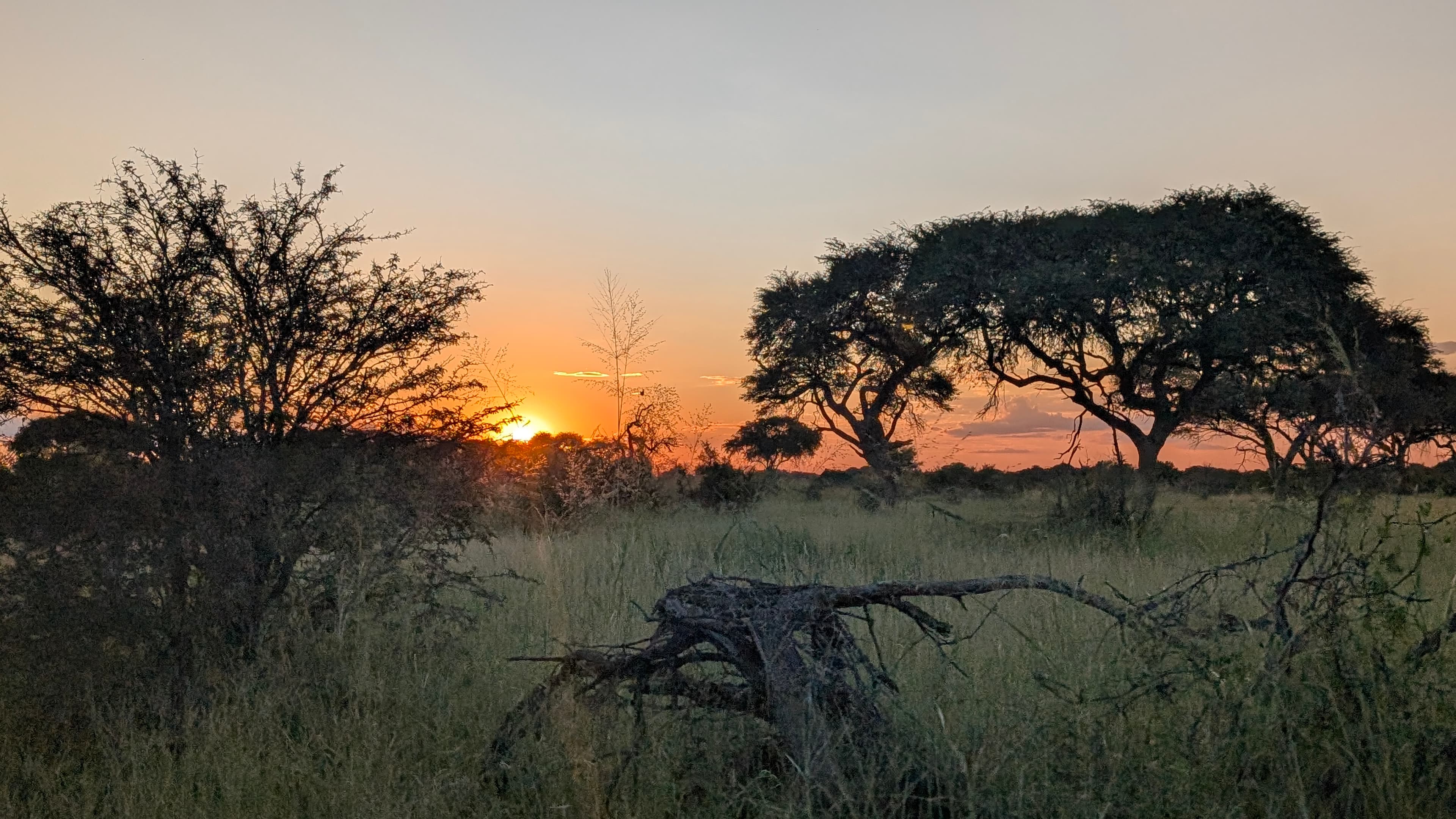 Victoria Falls from the riverbank