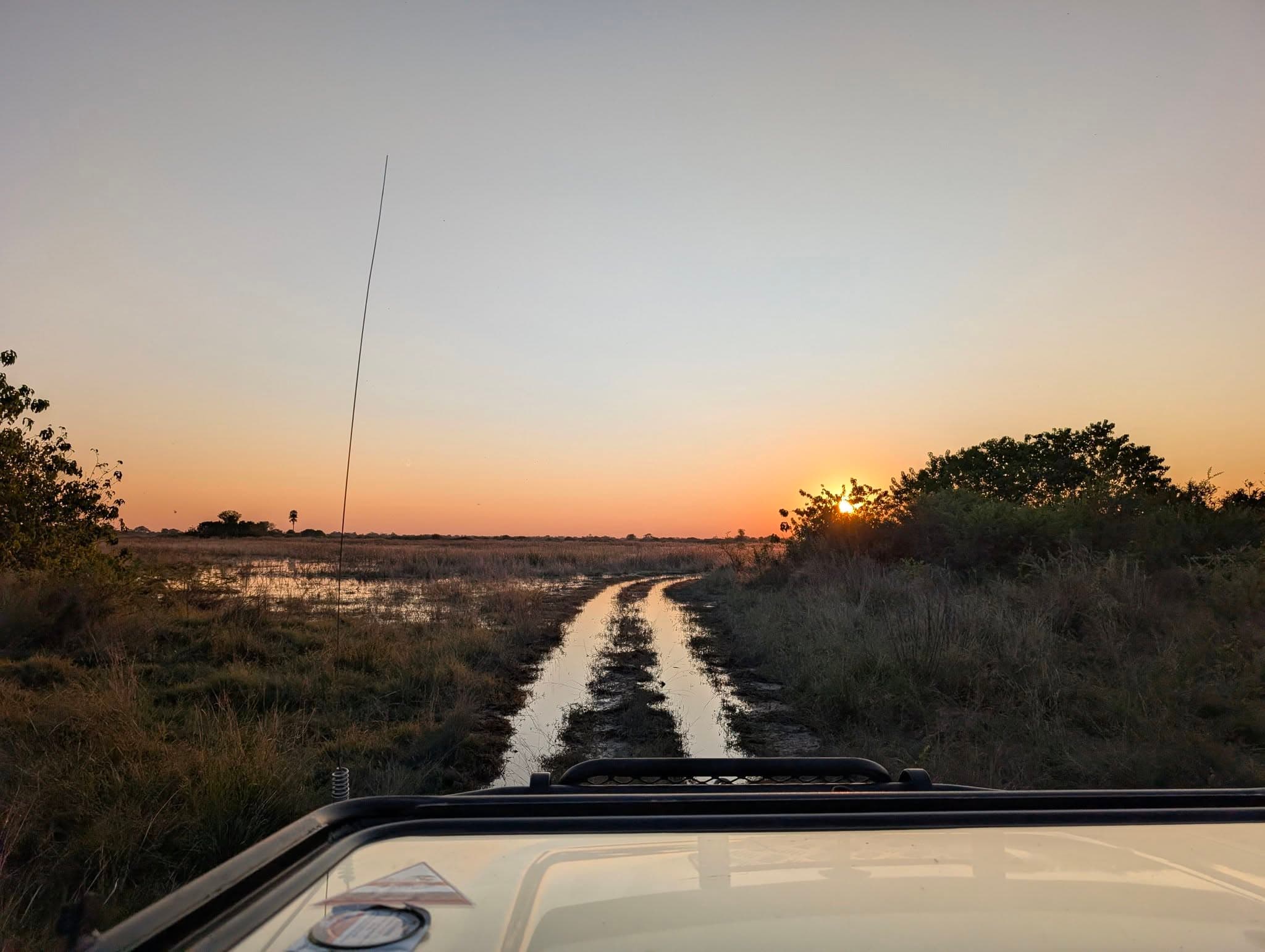 Safari tour vehicle at golden sunset in Botswana