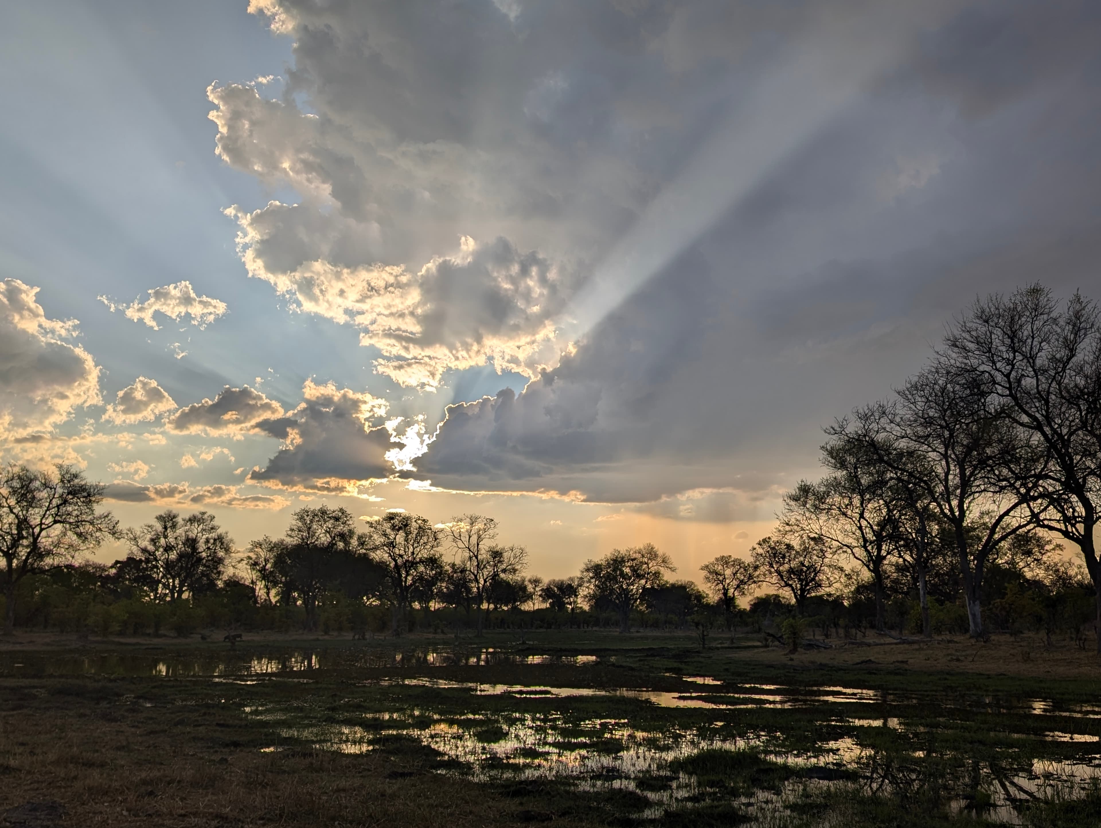 Dramatic sunset over the Botswana wilderness