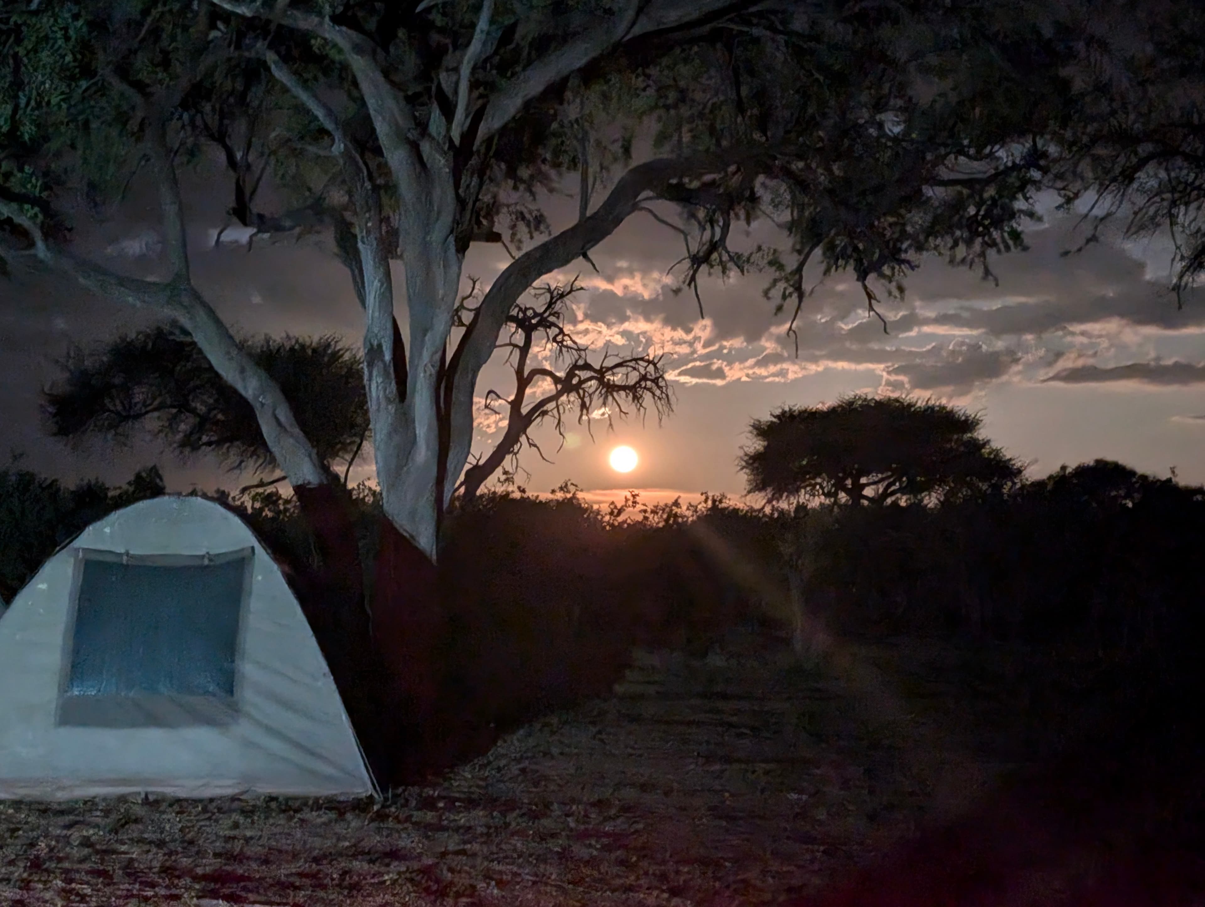 A small tent glowing under a full moon in the African bush