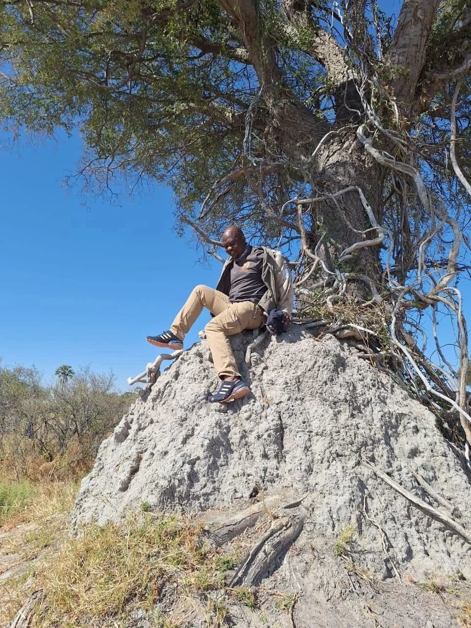 KT sitting atop a large termite mound under a bright Botswana sky