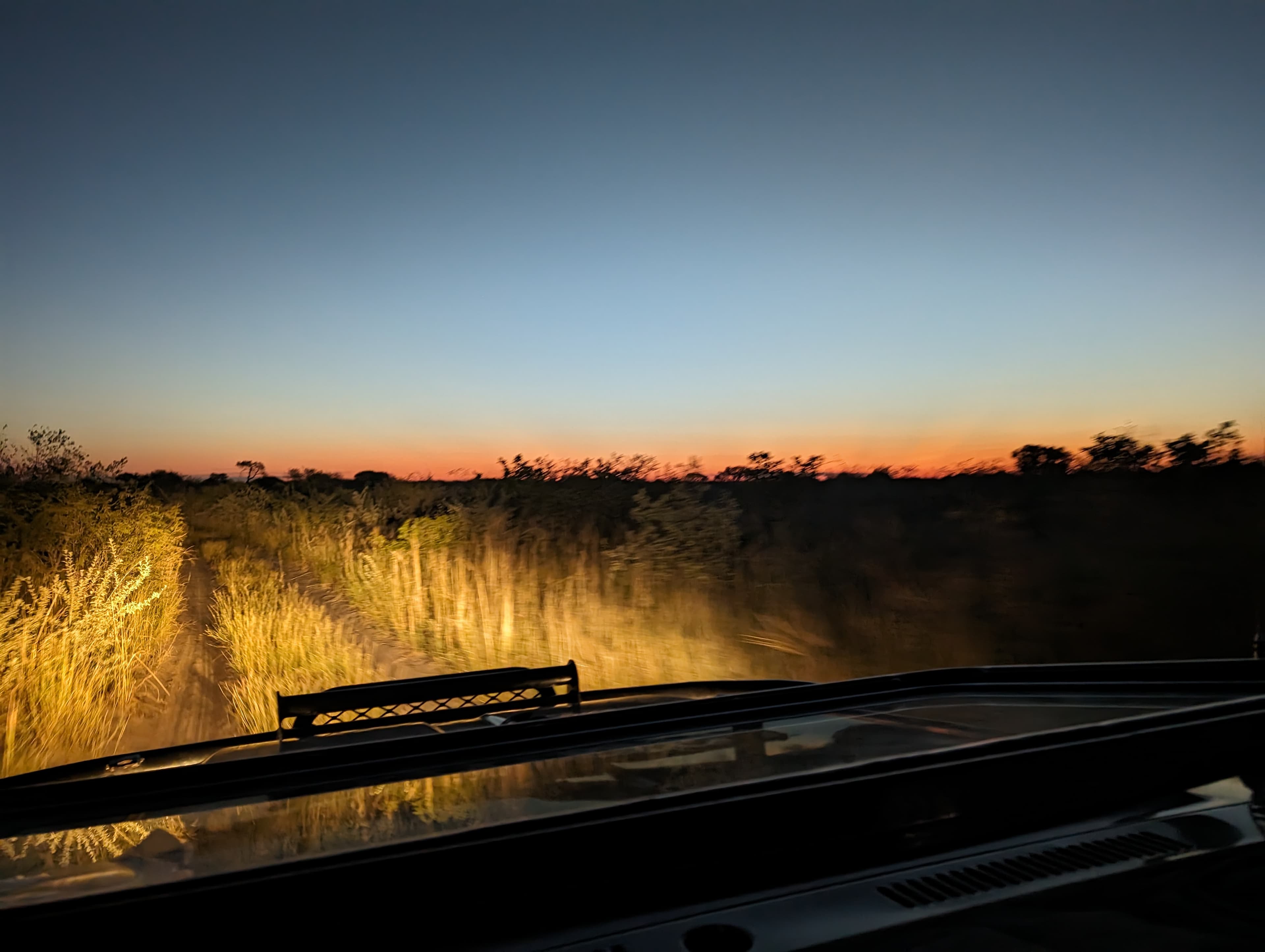 Golden sunset over the Botswana savanna